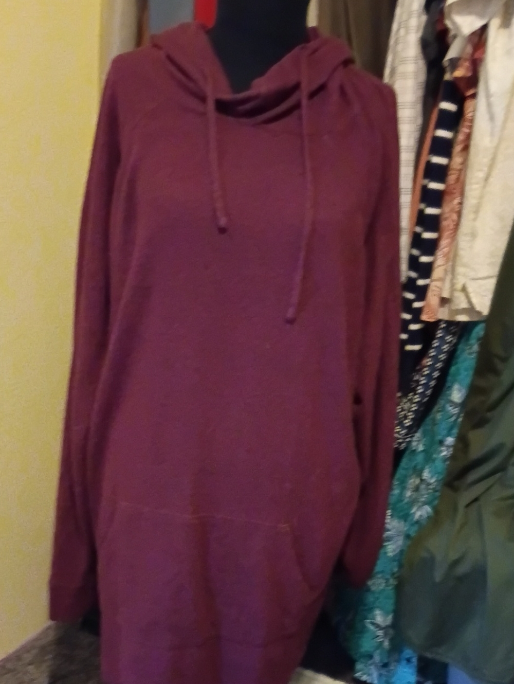 torrid Plum Hooded Crewneck Sweater